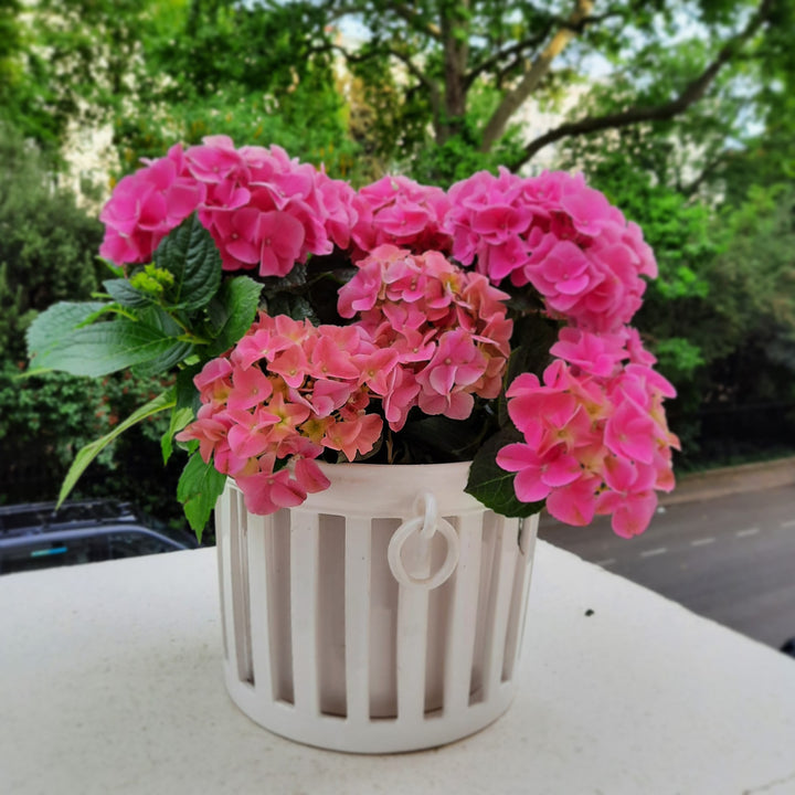 Openwork Empire planter with interior