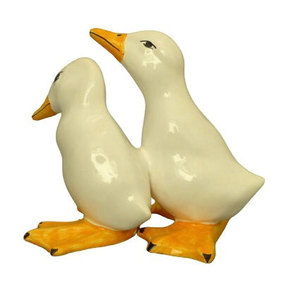 Duck duo 1 and 4