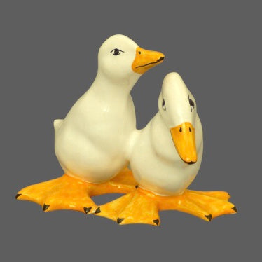 Duck duo 1 and 4