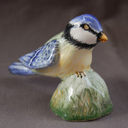 Blue Tit