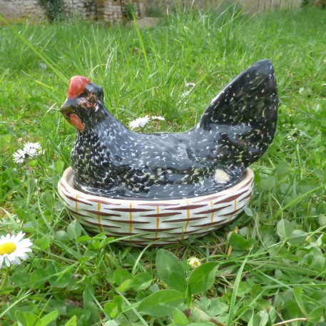 Black Poule Pondeuse Chicken terrine