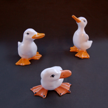 Pouplard Ducks