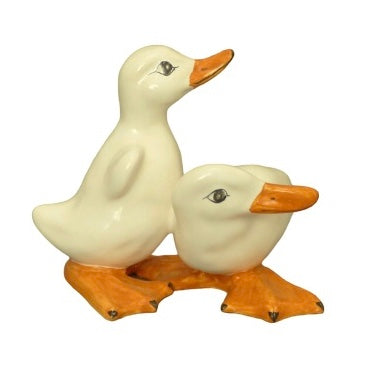 Duck duo 2 and 10